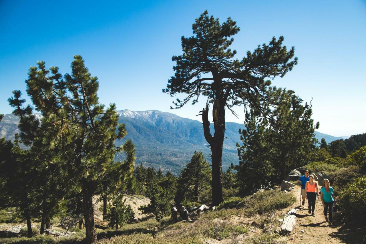 Embers Lodge & Cabins Big Bear Lake Bagian luar foto